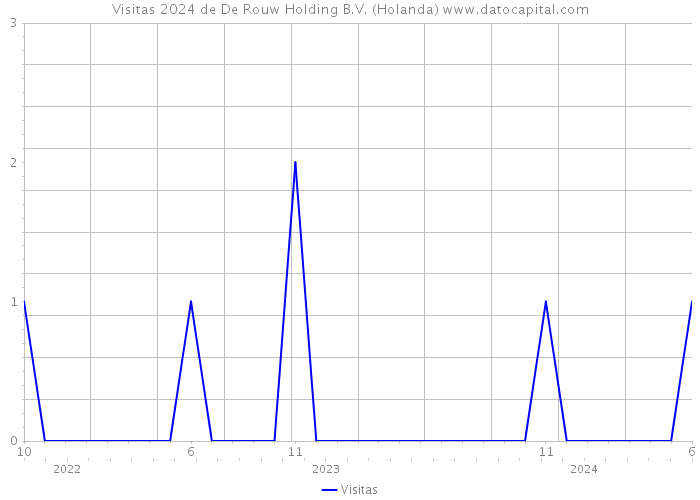 Visitas 2024 de De Rouw Holding B.V. (Holanda) 