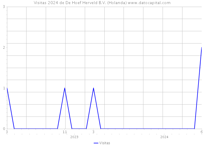 Visitas 2024 de De Hoef Herveld B.V. (Holanda) 