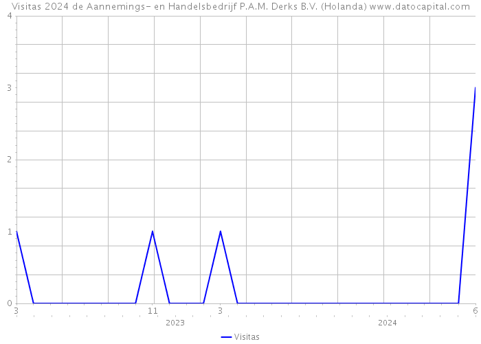 Visitas 2024 de Aannemings- en Handelsbedrijf P.A.M. Derks B.V. (Holanda) 