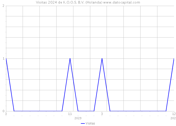 Visitas 2024 de K.O.O.S. B.V. (Holanda) 