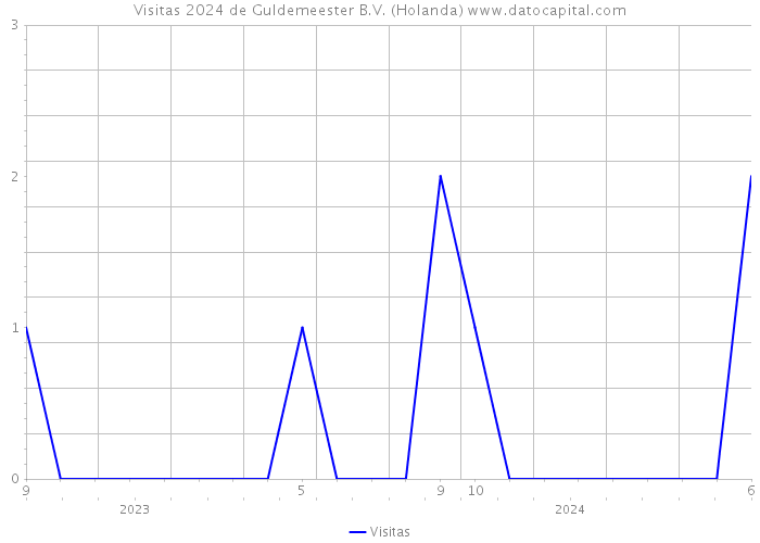 Visitas 2024 de Guldemeester B.V. (Holanda) 