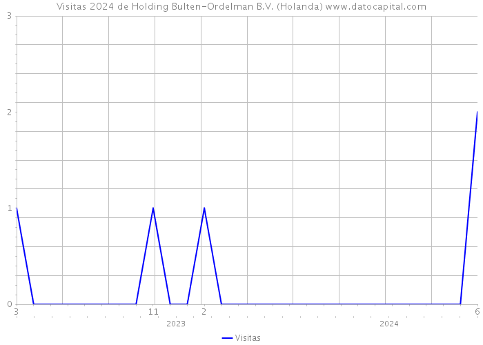 Visitas 2024 de Holding Bulten-Ordelman B.V. (Holanda) 