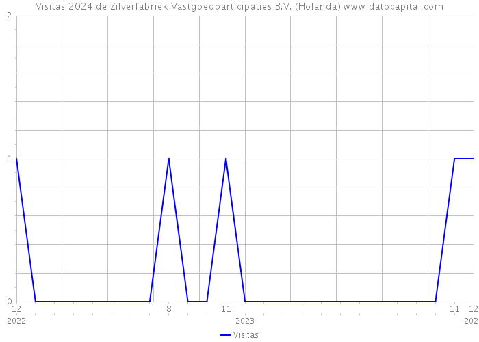 Visitas 2024 de Zilverfabriek Vastgoedparticipaties B.V. (Holanda) 