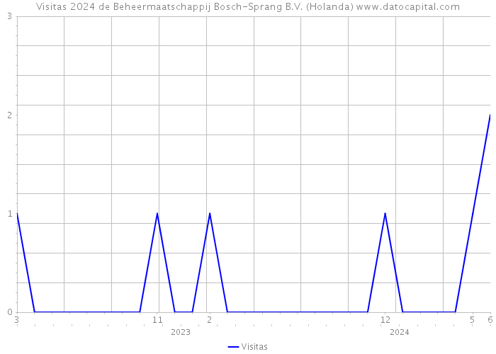 Visitas 2024 de Beheermaatschappij Bosch-Sprang B.V. (Holanda) 