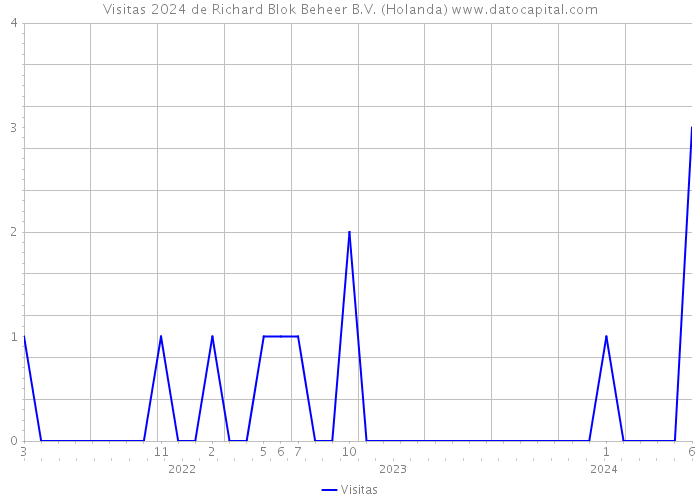 Visitas 2024 de Richard Blok Beheer B.V. (Holanda) 