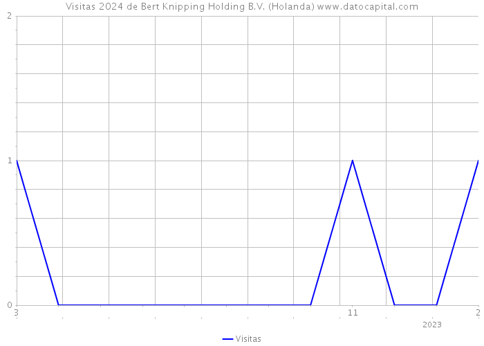 Visitas 2024 de Bert Knipping Holding B.V. (Holanda) 