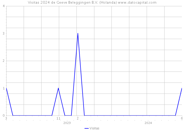 Visitas 2024 de Geeve Beleggingen B.V. (Holanda) 