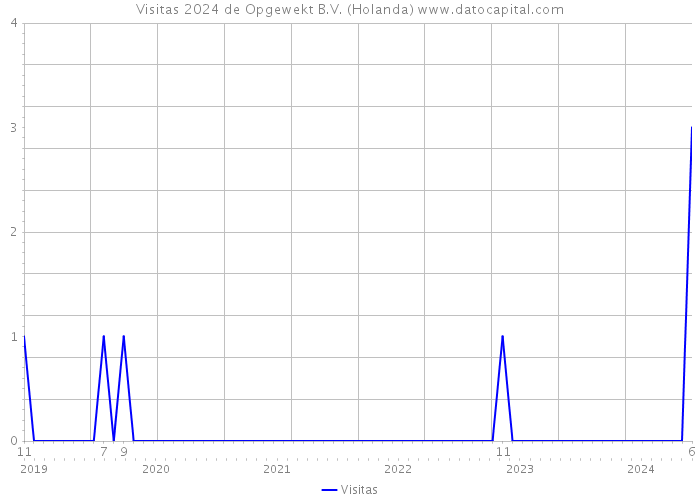 Visitas 2024 de Opgewekt B.V. (Holanda) 