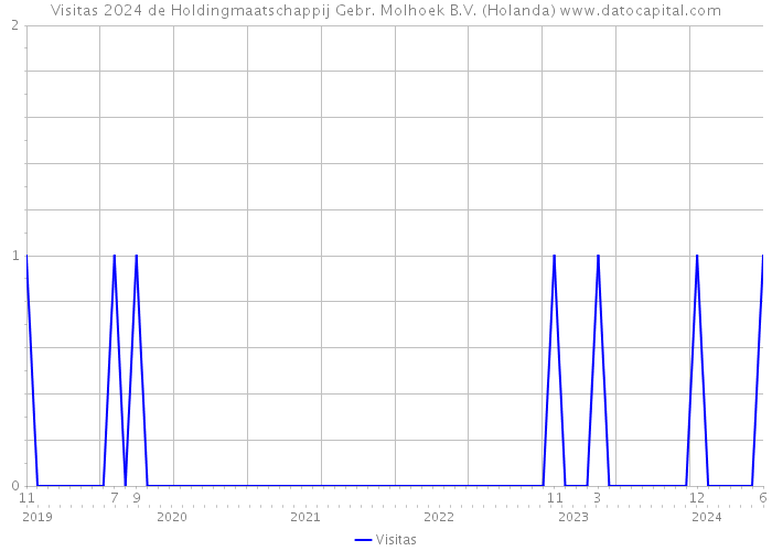 Visitas 2024 de Holdingmaatschappij Gebr. Molhoek B.V. (Holanda) 