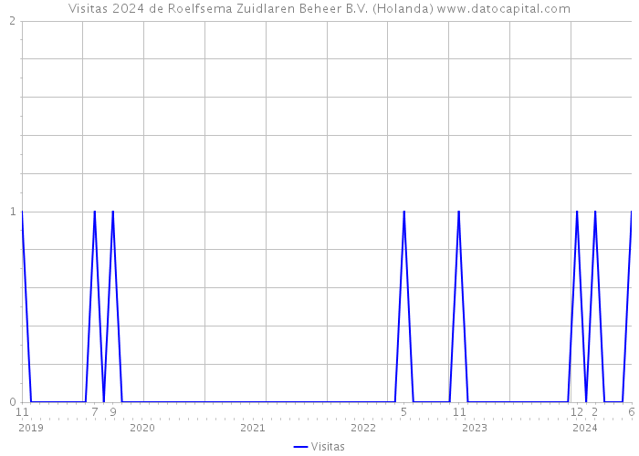 Visitas 2024 de Roelfsema Zuidlaren Beheer B.V. (Holanda) 