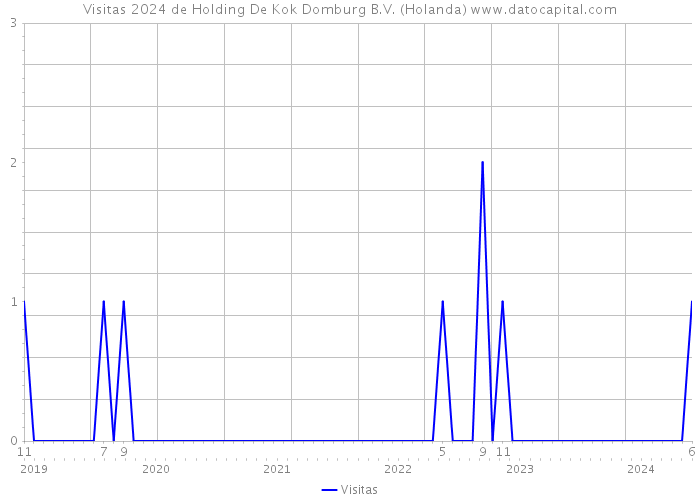 Visitas 2024 de Holding De Kok Domburg B.V. (Holanda) 