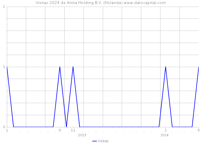 Visitas 2024 de Anita Holding B.V. (Holanda) 