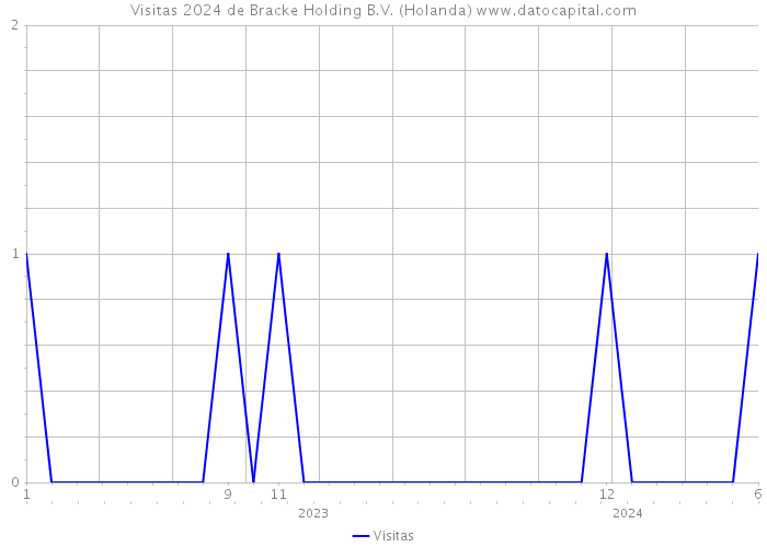 Visitas 2024 de Bracke Holding B.V. (Holanda) 