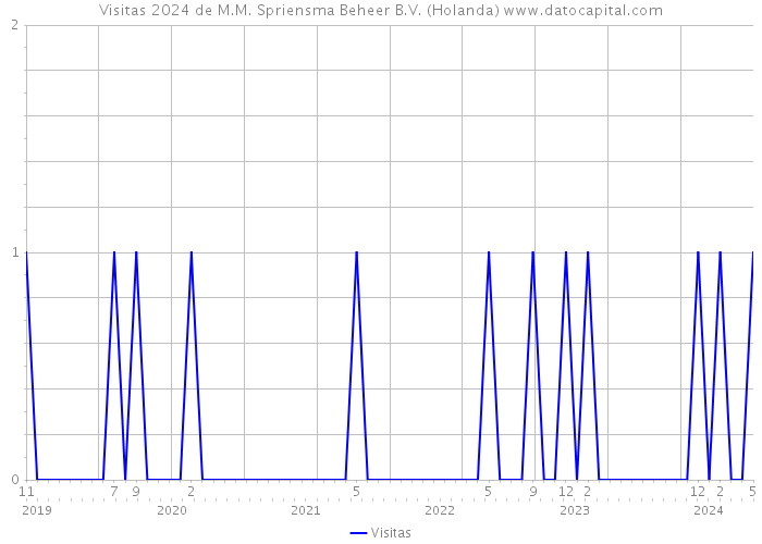 Visitas 2024 de M.M. Spriensma Beheer B.V. (Holanda) 