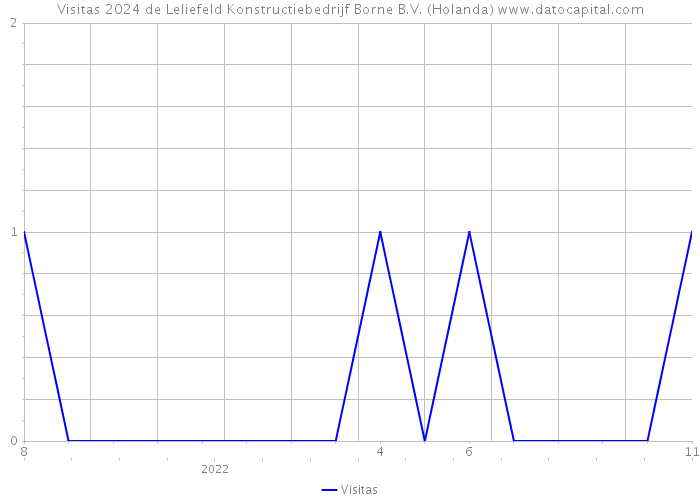 Visitas 2024 de Leliefeld Konstructiebedrijf Borne B.V. (Holanda) 