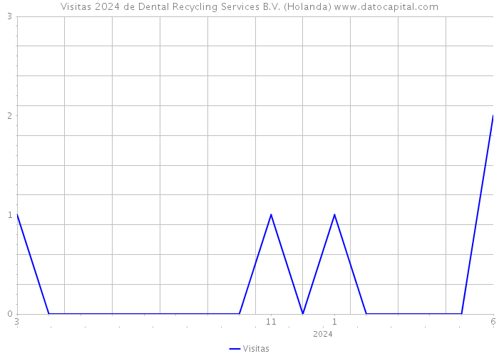 Visitas 2024 de Dental Recycling Services B.V. (Holanda) 