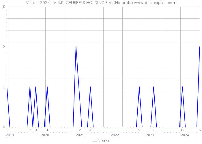 Visitas 2024 de R.P. GEUBBELS HOLDING B.V. (Holanda) 