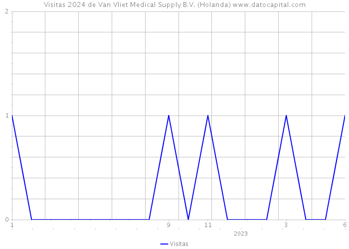 Visitas 2024 de Van Vliet Medical Supply B.V. (Holanda) 