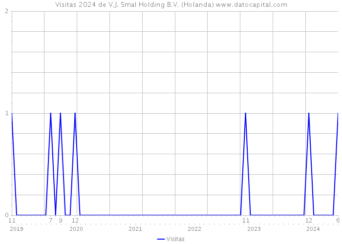 Visitas 2024 de V.J. Smal Holding B.V. (Holanda) 