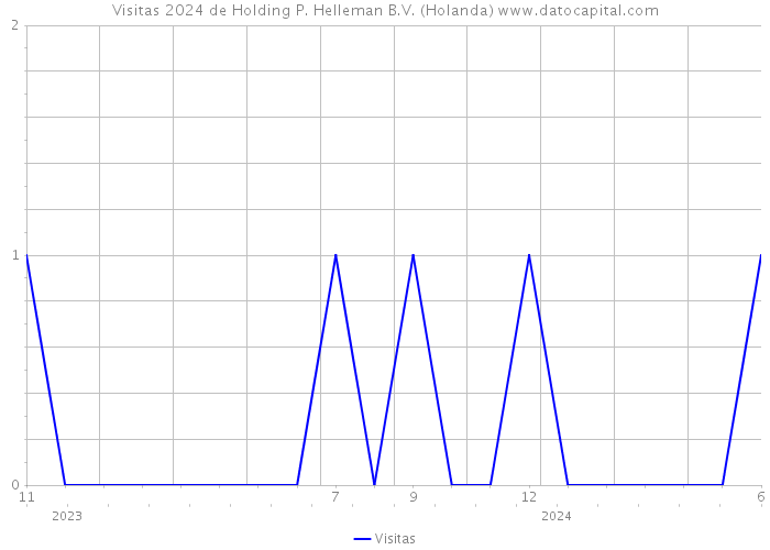 Visitas 2024 de Holding P. Helleman B.V. (Holanda) 