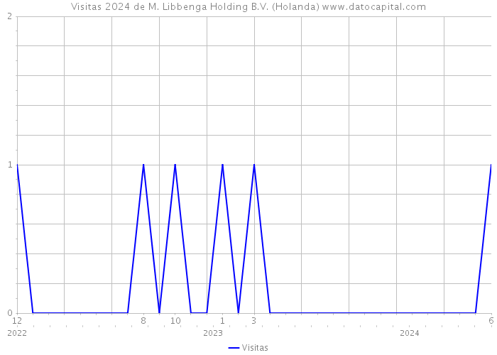 Visitas 2024 de M. Libbenga Holding B.V. (Holanda) 