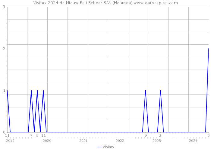 Visitas 2024 de Nieuw Bali Beheer B.V. (Holanda) 