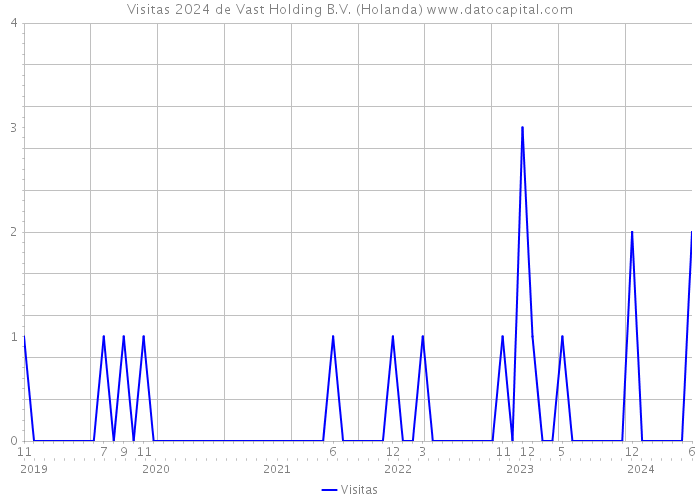 Visitas 2024 de Vast Holding B.V. (Holanda) 