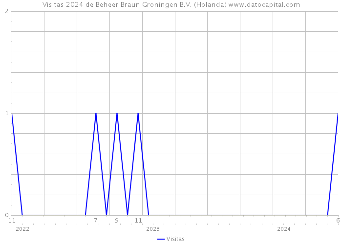 Visitas 2024 de Beheer Braun Groningen B.V. (Holanda) 