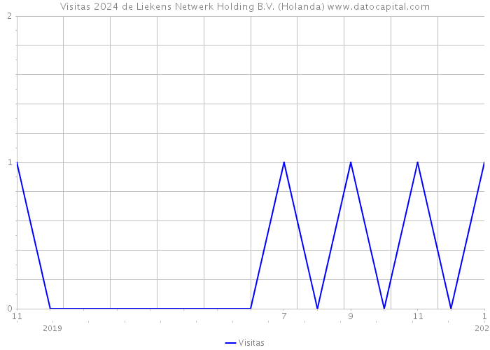 Visitas 2024 de Liekens Netwerk Holding B.V. (Holanda) 