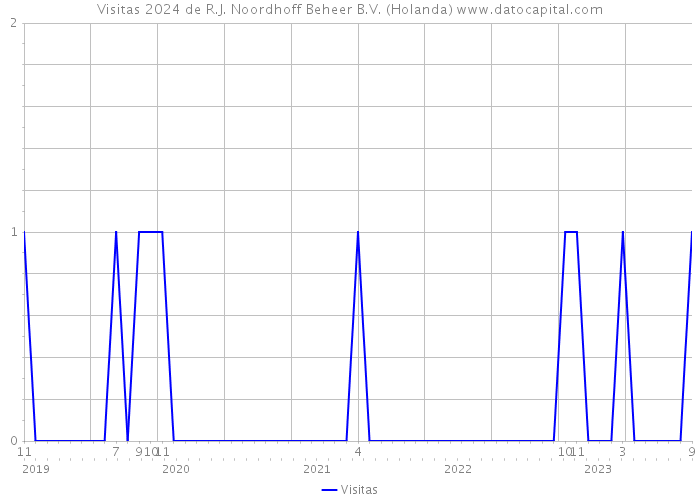 Visitas 2024 de R.J. Noordhoff Beheer B.V. (Holanda) 