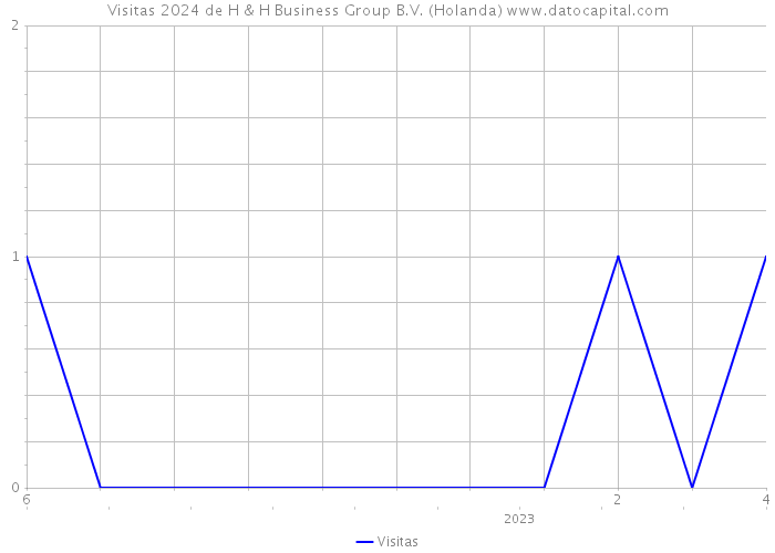 Visitas 2024 de H & H Business Group B.V. (Holanda) 