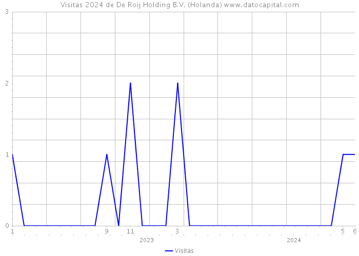 Visitas 2024 de De Roij Holding B.V. (Holanda) 