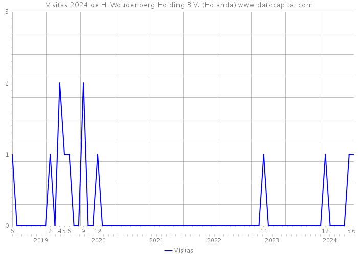 Visitas 2024 de H. Woudenberg Holding B.V. (Holanda) 