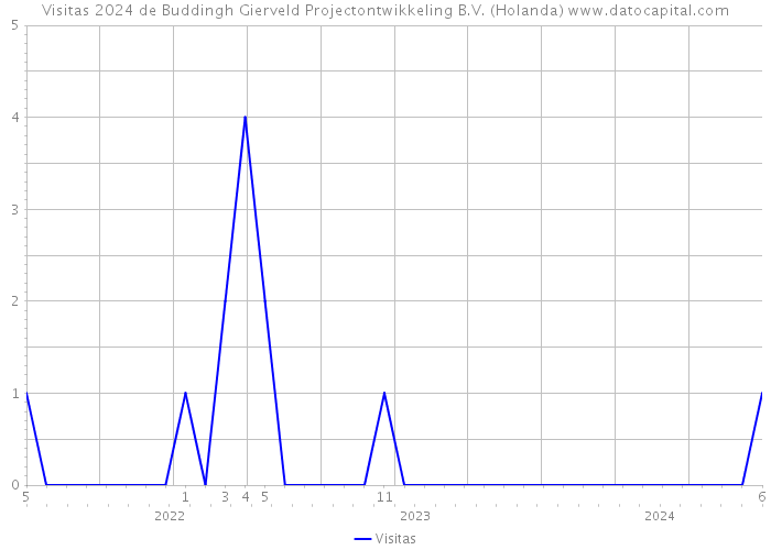 Visitas 2024 de Buddingh Gierveld Projectontwikkeling B.V. (Holanda) 