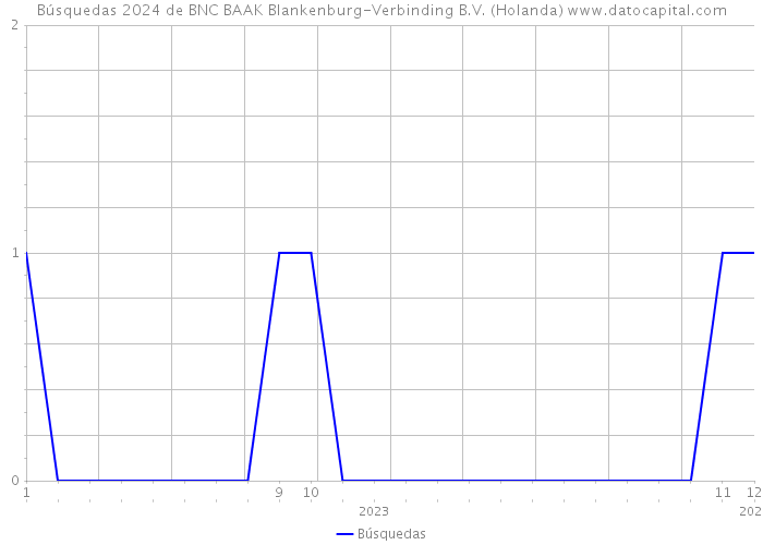Búsquedas 2024 de BNC BAAK Blankenburg-Verbinding B.V. (Holanda) 
