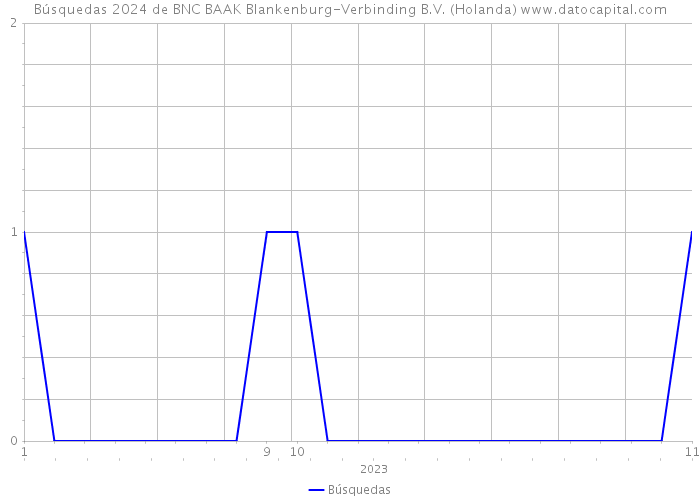 Búsquedas 2024 de BNC BAAK Blankenburg-Verbinding B.V. (Holanda) 