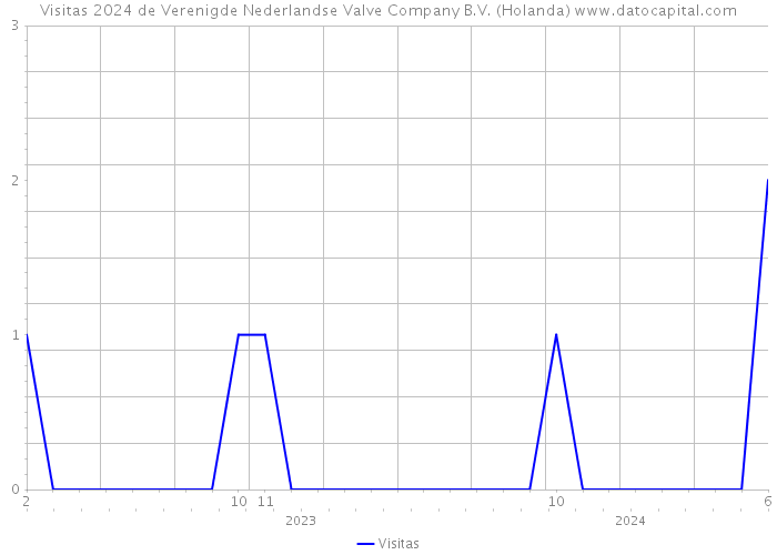 Visitas 2024 de Verenigde Nederlandse Valve Company B.V. (Holanda) 