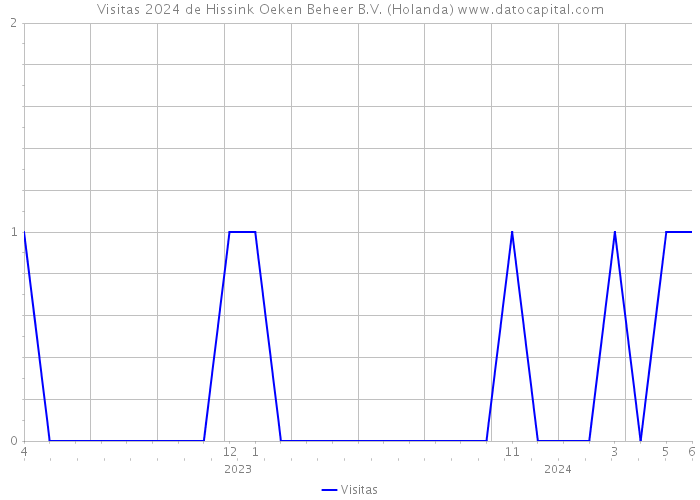 Visitas 2024 de Hissink Oeken Beheer B.V. (Holanda) 