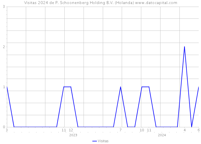Visitas 2024 de P. Schoonenberg Holding B.V. (Holanda) 
