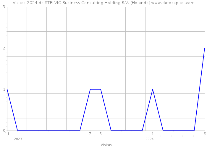 Visitas 2024 de STELVIO Business Consulting Holding B.V. (Holanda) 