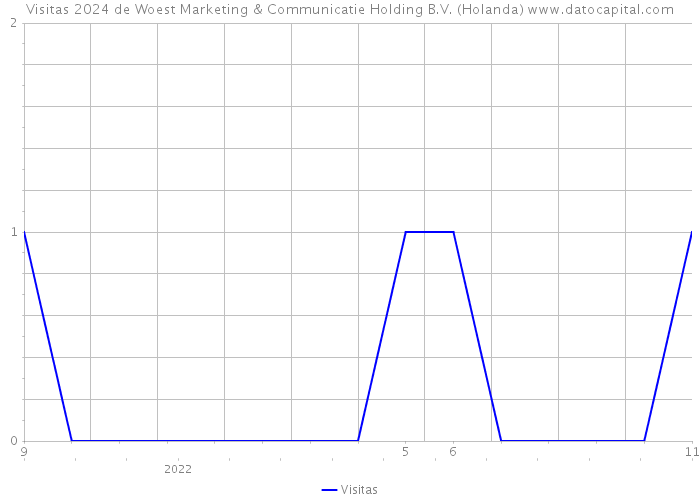 Visitas 2024 de Woest Marketing & Communicatie Holding B.V. (Holanda) 