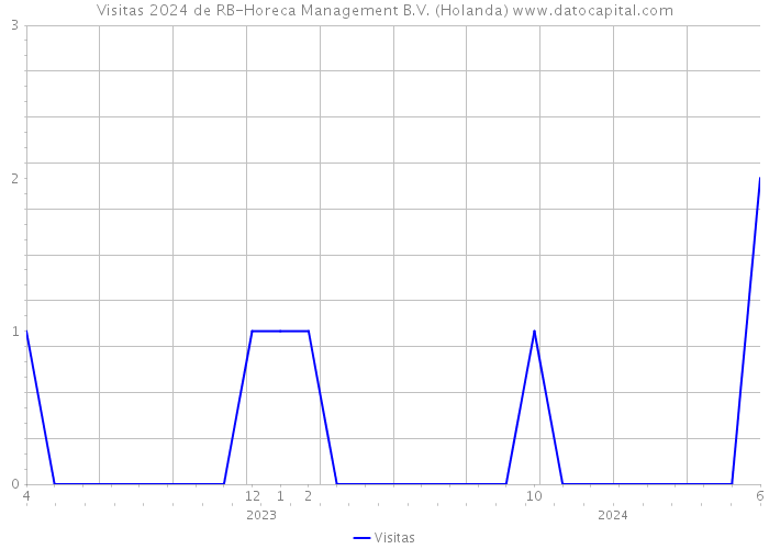 Visitas 2024 de RB-Horeca Management B.V. (Holanda) 