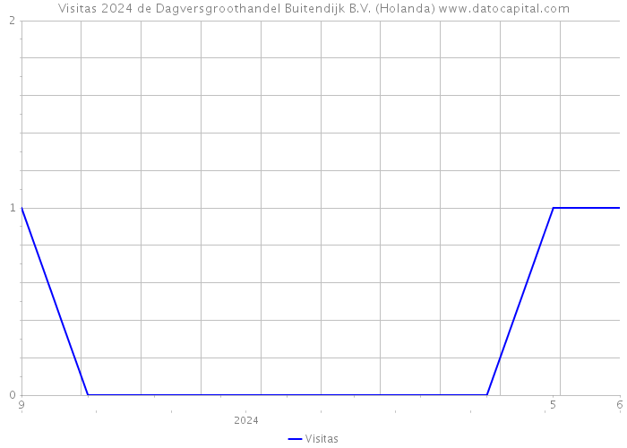 Visitas 2024 de Dagversgroothandel Buitendijk B.V. (Holanda) 