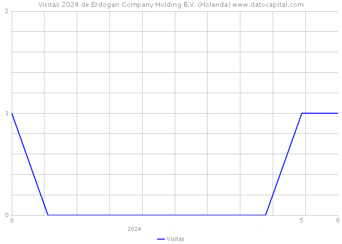 Visitas 2024 de Erdogan Company Holding B.V. (Holanda) 