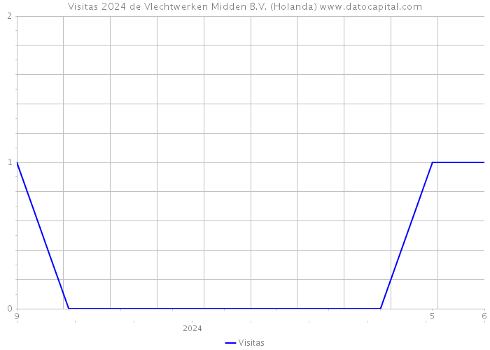 Visitas 2024 de Vlechtwerken Midden B.V. (Holanda) 