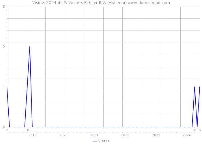 Visitas 2024 de P. Vosters Beheer B.V. (Holanda) 