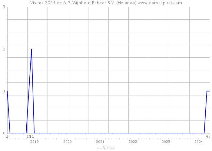 Visitas 2024 de A.P. Wijnhout Beheer B.V. (Holanda) 