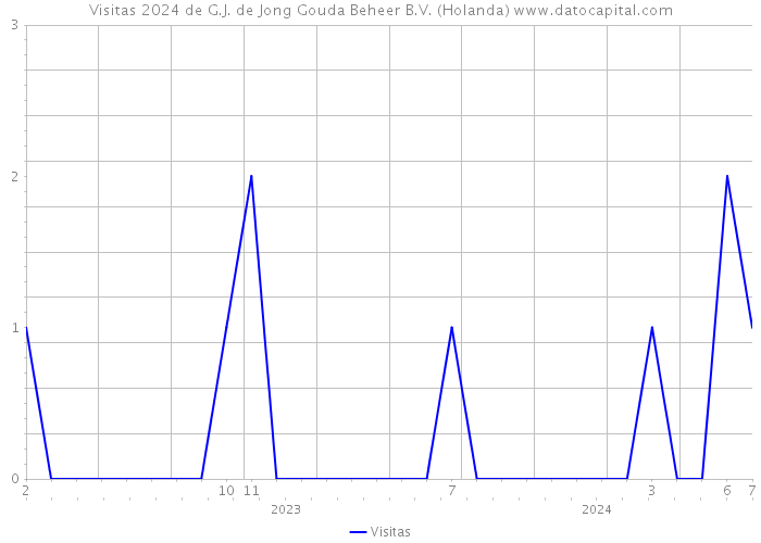 Visitas 2024 de G.J. de Jong Gouda Beheer B.V. (Holanda) 