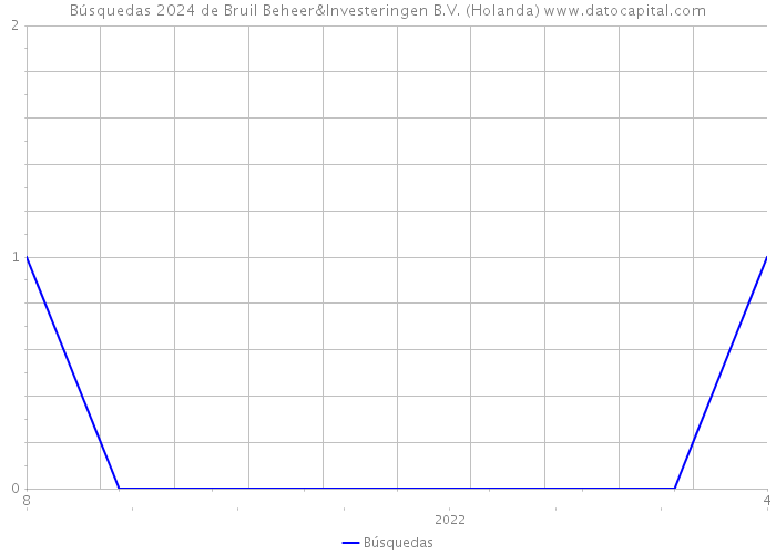 Búsquedas 2024 de Bruil Beheer&Investeringen B.V. (Holanda) 