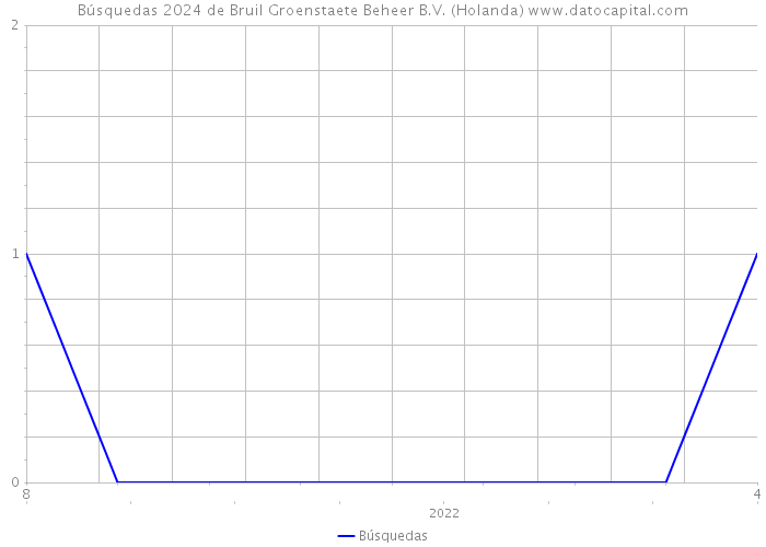 Búsquedas 2024 de Bruil Groenstaete Beheer B.V. (Holanda) 